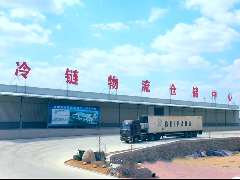 Cold Chain Transportation