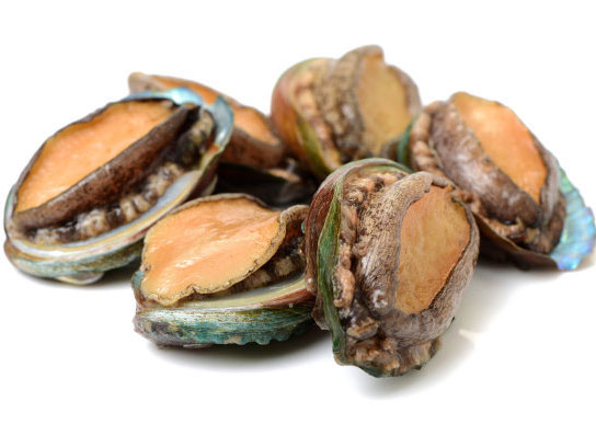Wild Abalone