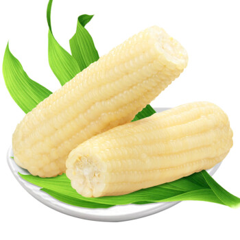 白糯玉米